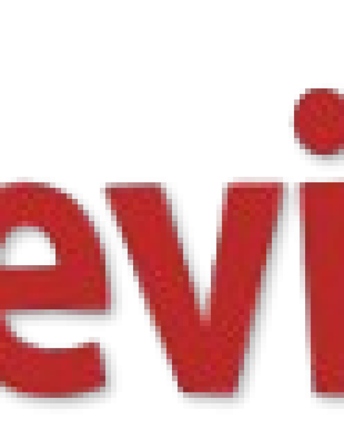 Devixlogo